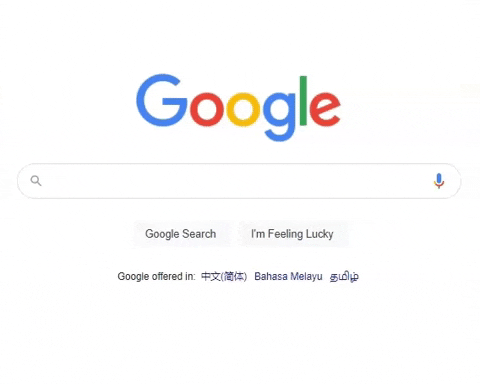nature loss biodiversity google searches ecowakening